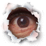 The All Seeing Internet!